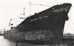 REGENT FALCON