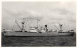 SEA ROVER