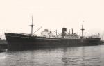 TRELAWNY