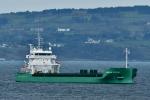 Arklow Arrow.