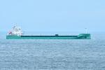 Arklow Arrow.