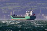 Arklow Falcon