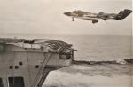 Ark Royal Vixen