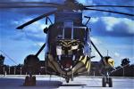 814 Tiger Sea King