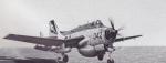 Gannet Departs The Ark