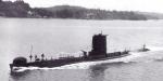 Unknown Submarine