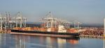 NYK Demeter