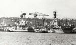 HMS Ark Royal and HMS Bulwark