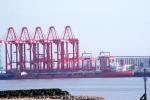 Zhen Hua 25