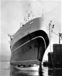 ANDREA DORIA