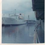 RFA TARBATNESS