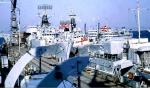 HMNB Portland