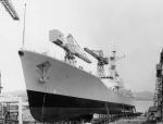 SCYLLA